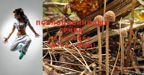гашиш Абаза