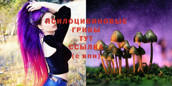 гидропоника Алексин
